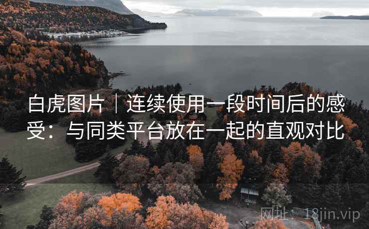 白虎图片｜连续使用一段时间后的感受：与同类平台放在一起的直观对比