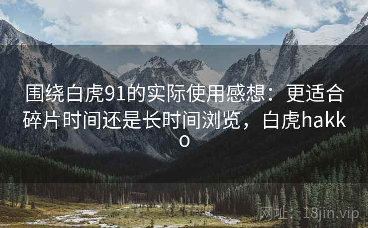 围绕白虎91的实际使用感想：更适合碎片时间还是长时间浏览，白虎hakko