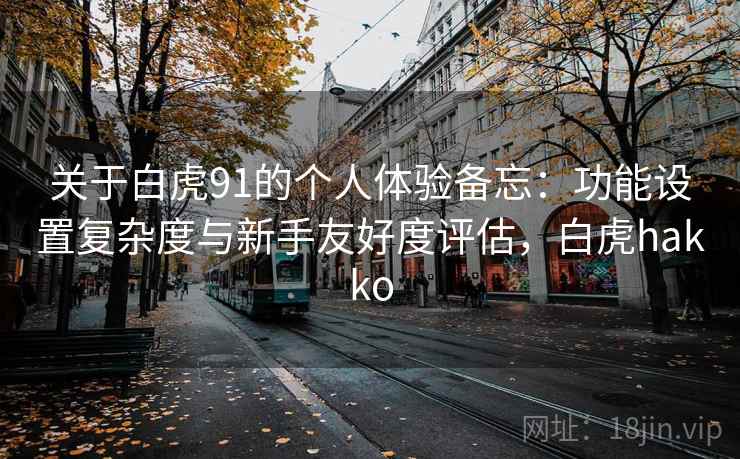 关于白虎91的个人体验备忘：功能设置复杂度与新手友好度评估，白虎hakko