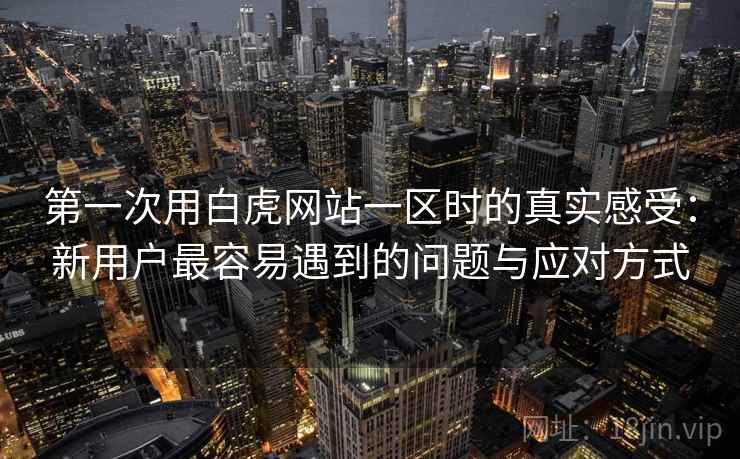 第一次用白虎网站一区时的真实感受:新用户最容易遇到的问题与应对方式