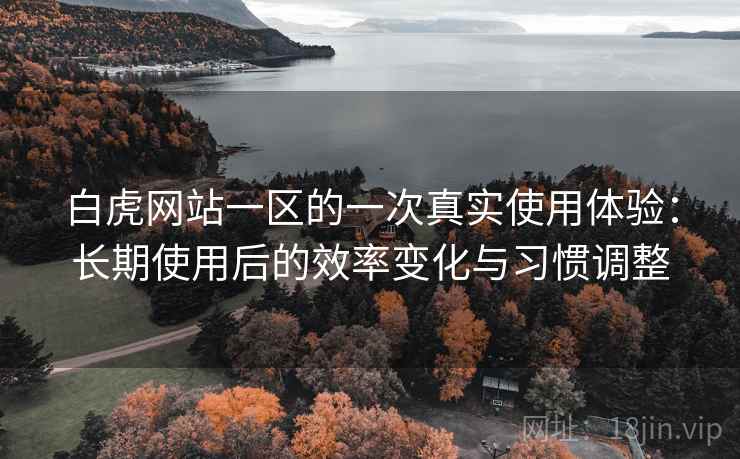 白虎网站一区的一次真实使用体验:长期使用后的效率变化与习惯调整