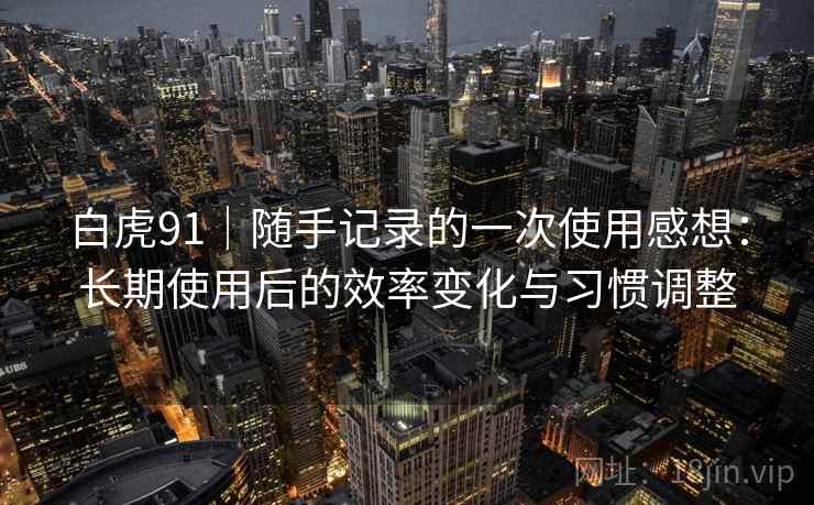 白虎91｜随手记录的一次使用感想：长期使用后的效率变化与习惯调整  第1张