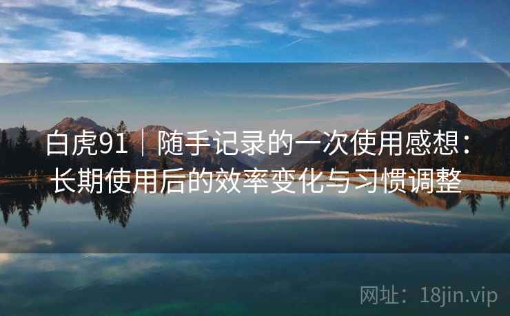 白虎91｜随手记录的一次使用感想：长期使用后的效率变化与习惯调整  第2张