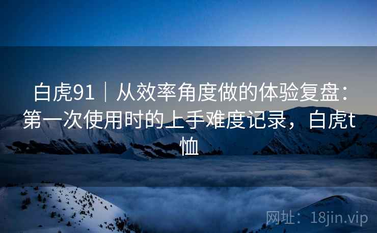 白虎91｜从效率角度做的体验复盘：第一次使用时的上手难度记录，白虎t恤