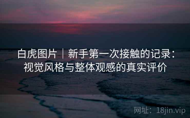 白虎图片｜新手第一次接触的记录：视觉风格与整体观感的真实评价