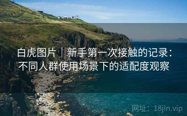 白虎图片|新手第一次接触的记录:不同人群使用场景下的适配度观察