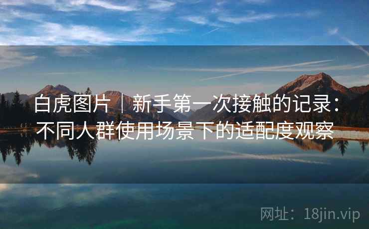 白虎图片|新手第一次接触的记录:不同人群使用场景下的适配度观察