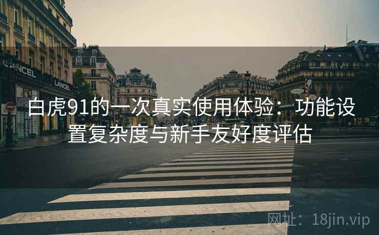 白虎91的一次真实使用体验:功能设置复杂度与新手友好度评估