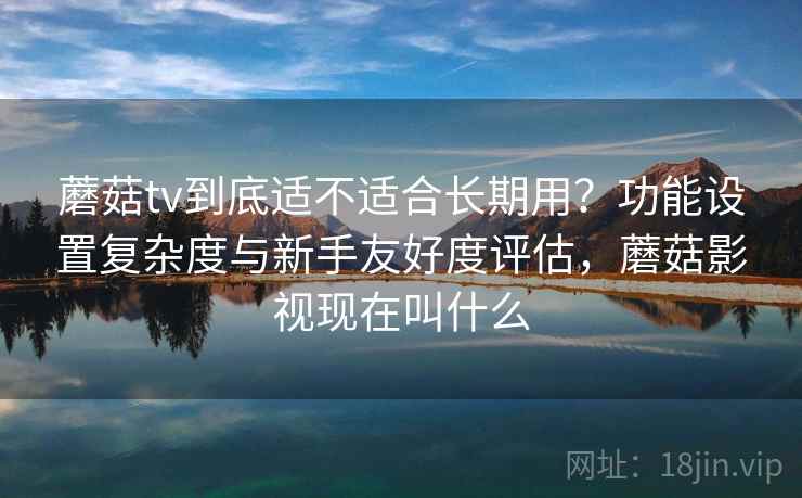 蘑菇tv到底适不适合长期用?功能设置复杂度与新手友好度评估,蘑菇影视现在叫什么