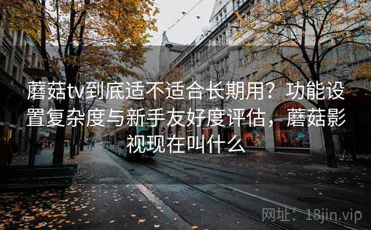 蘑菇tv到底适不适合长期用?功能设置复杂度与新手友好度评估,蘑菇影视现在叫什么