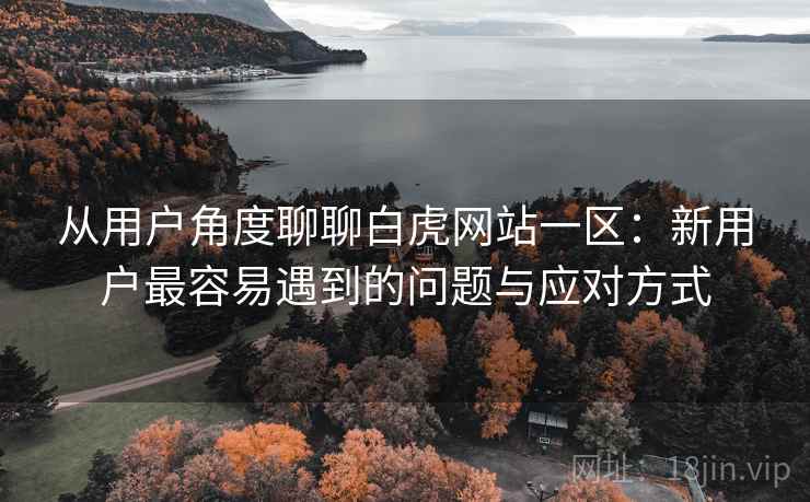 从用户角度聊聊白虎网站一区:新用户最容易遇到的问题与应对方式