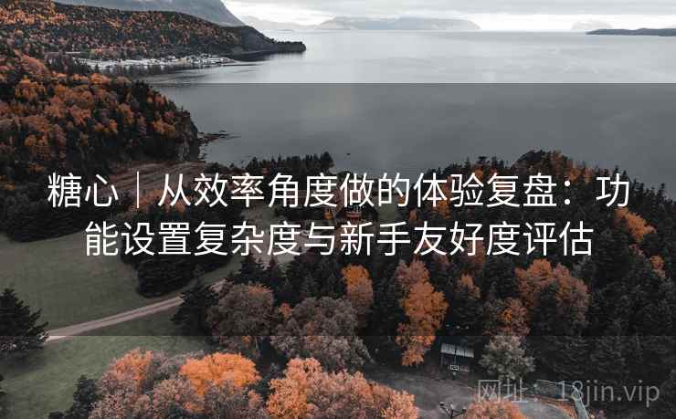 糖心|从效率角度做的体验复盘:功能设置复杂度与新手友好度评估
