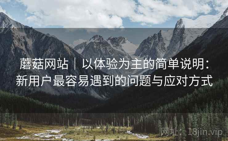 蘑菇网站｜以体验为主的简单说明：新用户最容易遇到的问题与应对方式