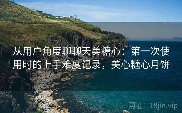 从用户角度聊聊天美糖心:第一次使用时的上手难度记录,美心糖心月饼