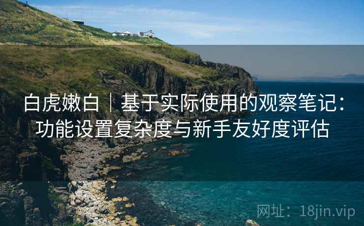 白虎嫩白|基于实际使用的观察笔记:功能设置复杂度与新手友好度评估