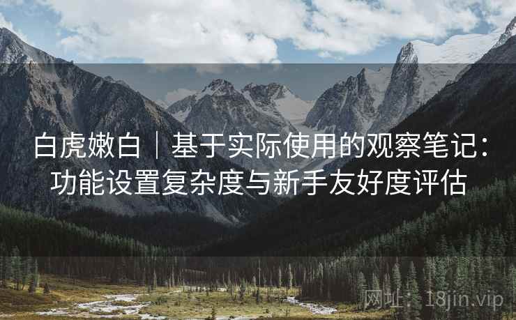 白虎嫩白|基于实际使用的观察笔记:功能设置复杂度与新手友好度评估