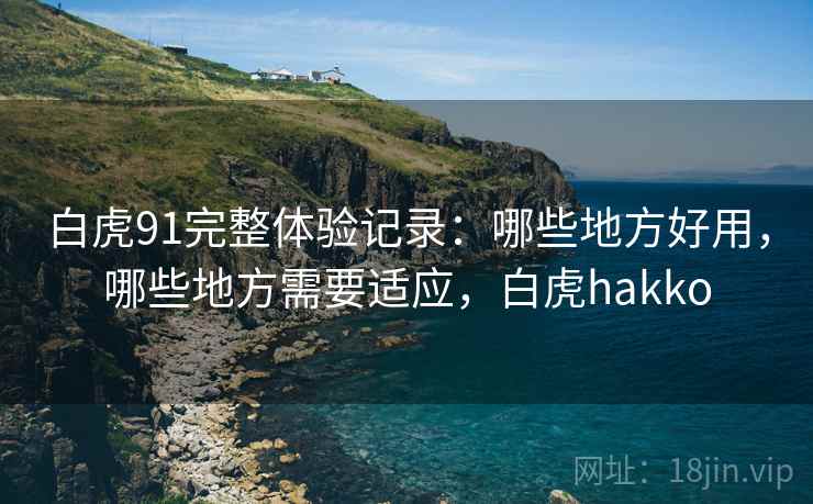 白虎91完整体验记录:哪些地方好用,哪些地方需要适应,白虎hakko