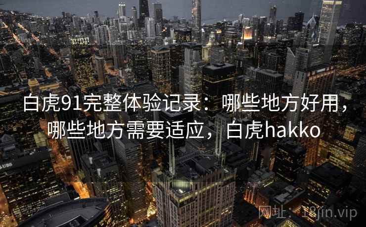 白虎91完整体验记录:哪些地方好用,哪些地方需要适应,白虎hakko