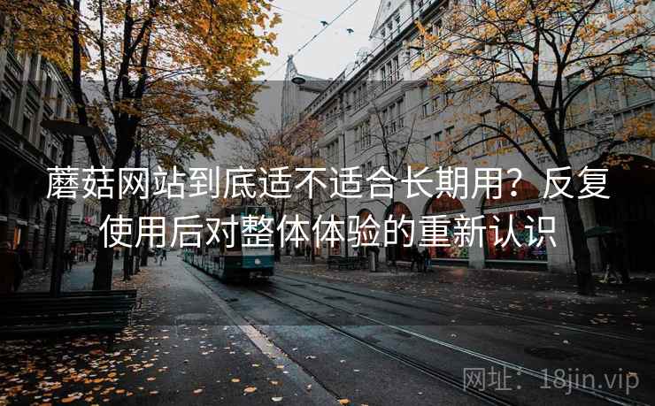 蘑菇网站到底适不适合长期用？反复使用后对整体体验的重新认识