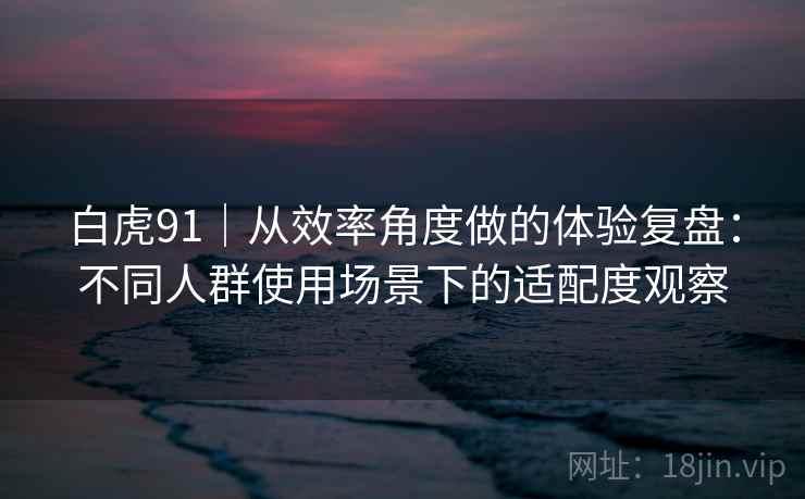 白虎91|从效率角度做的体验复盘:不同人群使用场景下的适配度观察
