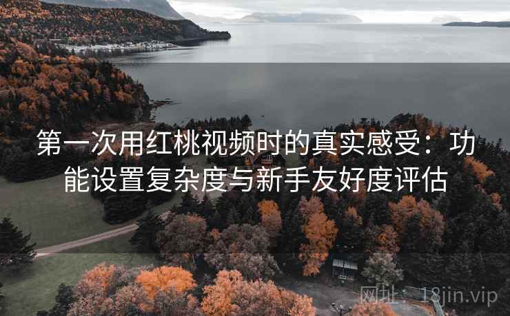 第一次用红桃视频时的真实感受:功能设置复杂度与新手友好度评估