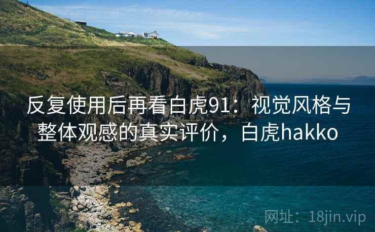 反复使用后再看白虎91:视觉风格与整体观感的真实评价,白虎hakko