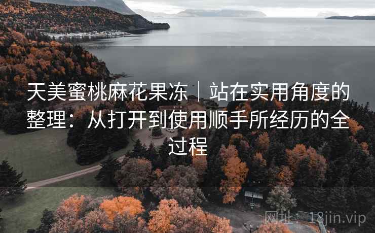 天美蜜桃麻花果冻|站在实用角度的整理:从打开到使用顺手所经历的全过程