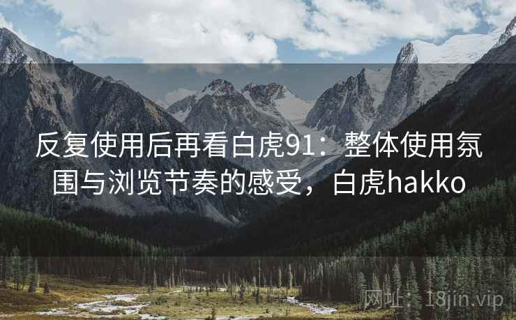 反复使用后再看白虎91：整体使用氛围与浏览节奏的感受，白虎hakko