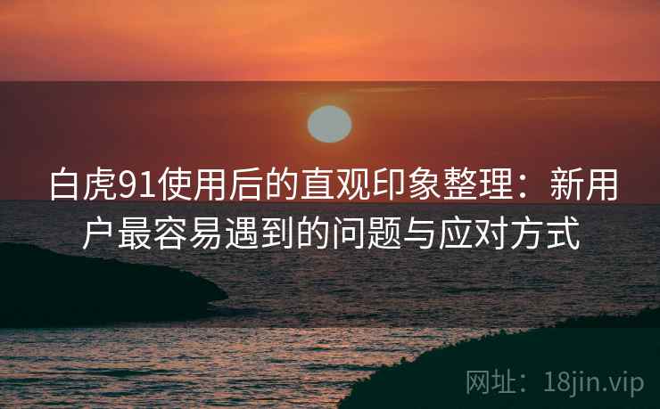 白虎91使用后的直观印象整理：新用户最容易遇到的问题与应对方式